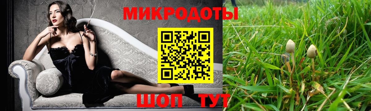 Псилоцибиновые грибы GOLDEN TEACHER Павлово